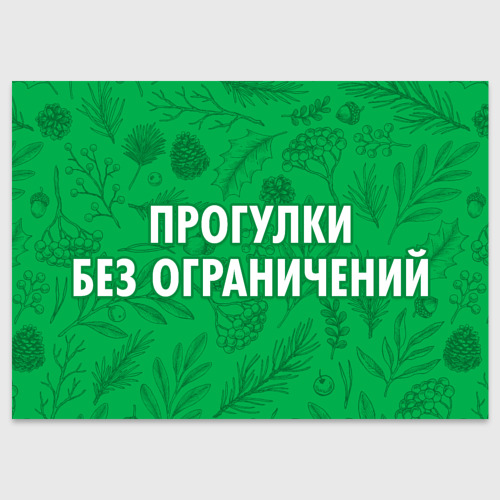 Хорошей прогулки