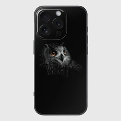 Чехол для iPhone 16 Pro силиконовый с защитой камеры Сова