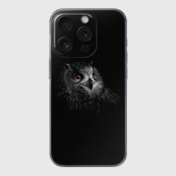 Чехол для iPhone 15 Pro Max силиконовый с защитой камеры Сова