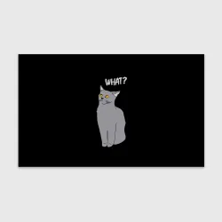 Бумага для упаковки 3D What cat