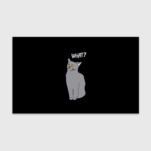 Бумага для упаковки 3D What cat