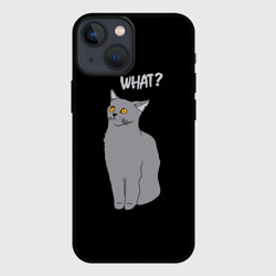 Чехол для iPhone 13 mini What cat