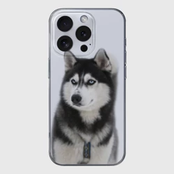 Чехол для iPhone 16 Pro Max силиконовый с защитой камеры Хаски