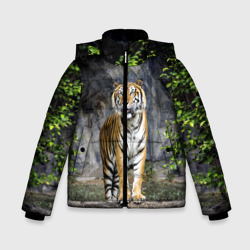 Зимняя куртка для мальчиков 3D Тигр в лесу