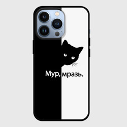 Чехол для iPhone 13 Pro Черный кот