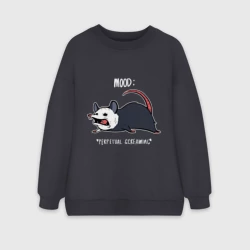 Женский свитшот oversize без начеса хлопок 1