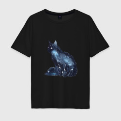 Мужская футболка хлопок Oversize Космический кот