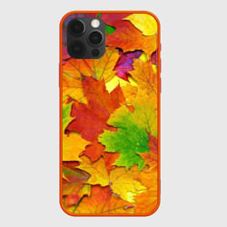 Чехол для iPhone 12 Pro Max Осенние листья