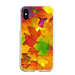 Чехол для iPhone XS Max матовый Осенние листья