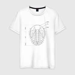 Трилобит – Мужская футболка хлопок с принтом купить со скидкой в -20%
