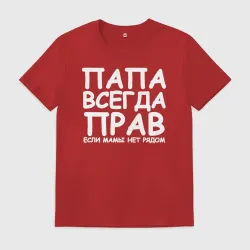 Мужская футболка хлопок Папа всегда прав