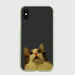 Чехол для iPhone XS Max матовый Котэ смотрит вверх