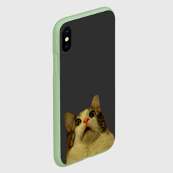 Чехол для iPhone XS Max матовый Котэ смотрит вверх - фото 2