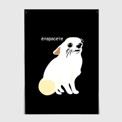 Постер Ёпарасете