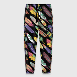 Мужские брюки 3D Цветные перья - паттерн