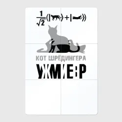 Магнитный плакат 2Х3 Кот Шредингера