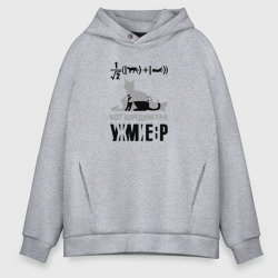 Мужское худи Oversize хлопок Кот Шредингера