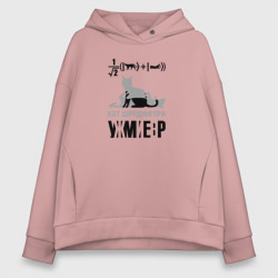 Женское худи Oversize хлопок Кот Шредингера