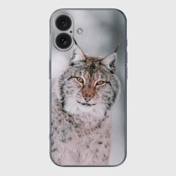 Чехол для iPhone 16 силиконовый с защитой камеры Рысь