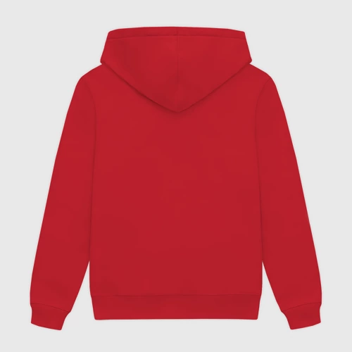 Мужская толстовка хлопок с принтом Metropolitan Nekoma High, вид сзади #1