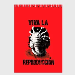 Скетчбук Viva LA