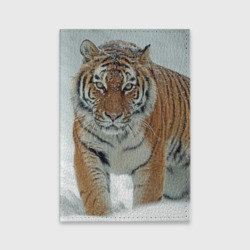 Обложка для паспорта матовая кожа Тигр