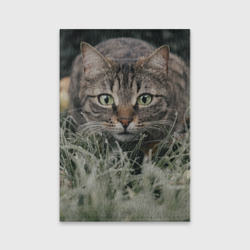Обложка для паспорта матовая кожа Кошка
