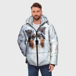 Мужская зимняя куртка 3D Австралийская овчарка - фото 2