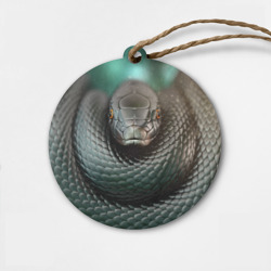 Деревянная игрушка круг Чёрная мамба