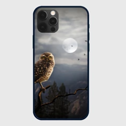 Чехол для iPhone 12 Pro Сова