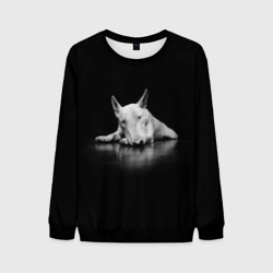 Мужской свитшот 3D Puppy