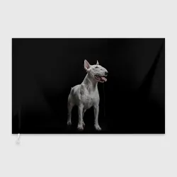 Флаг 3D Bully