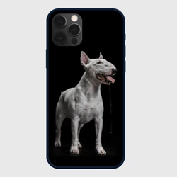 Чехол для iPhone 12 Pro Bully