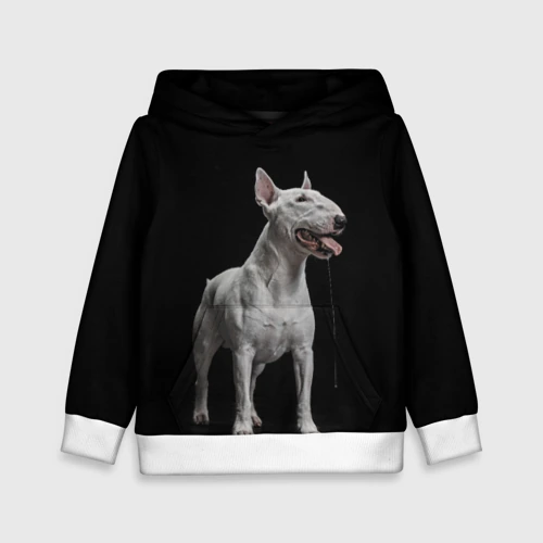 Детская толстовка 3D Bully