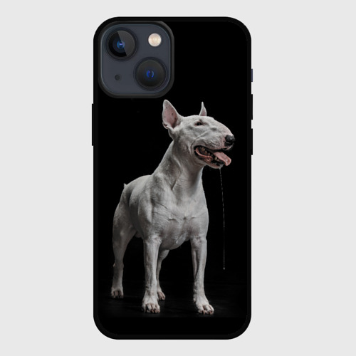 Чехол для iPhone 13 mini Bully