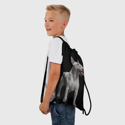 Рюкзак-мешок 3D Bully - фото 2