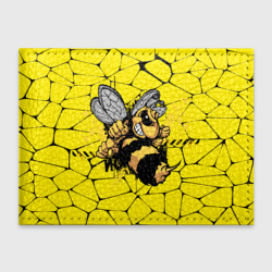 Обложка для студенческого билета Дикая пчела