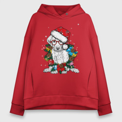Женское худи Oversize хлопок ЛабриСанта