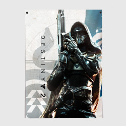 Постер Destiny, hunter