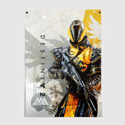 Постер Destiny, warlock