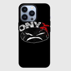 Чехол для iPhone 13 Pro Onyx