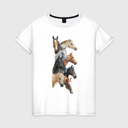 Женская футболка хлопок Лошади