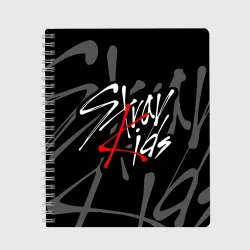 Тетрадь Stray kids