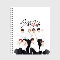 Тетрадь Stray kids