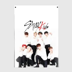 Постер Stray kids