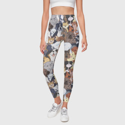 Леггинсы 3D Dogs паттерн - фото 2