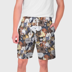 Мужские шорты 3D Dogs паттерн 
