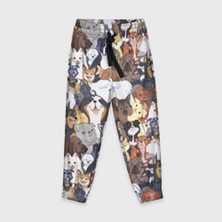 Детские брюки 3D Dogs паттерн 