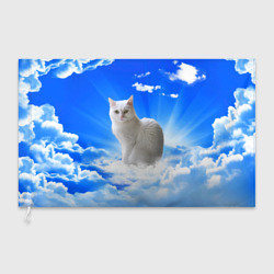 Флаг 3D Кот в облаках