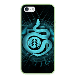 Чехол для iPhone 5/5S матовый Destiny 2 hunter